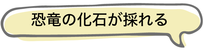 恐竜の化石が採れる