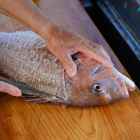 鯛を捌く