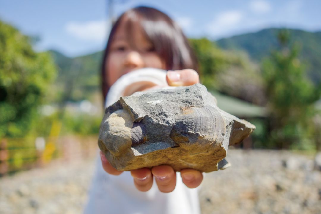 クルーズで見つけた本物の化石