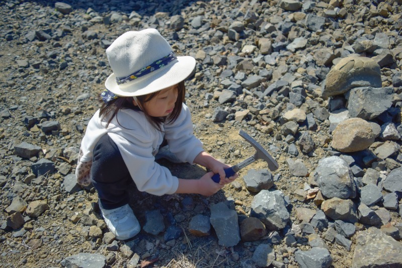 採集場でハンマーを使って化石をさがす小さな子ども