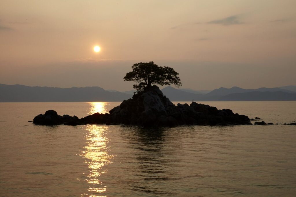 夕日に染まる海と、松の木が立つ小さな岩の島