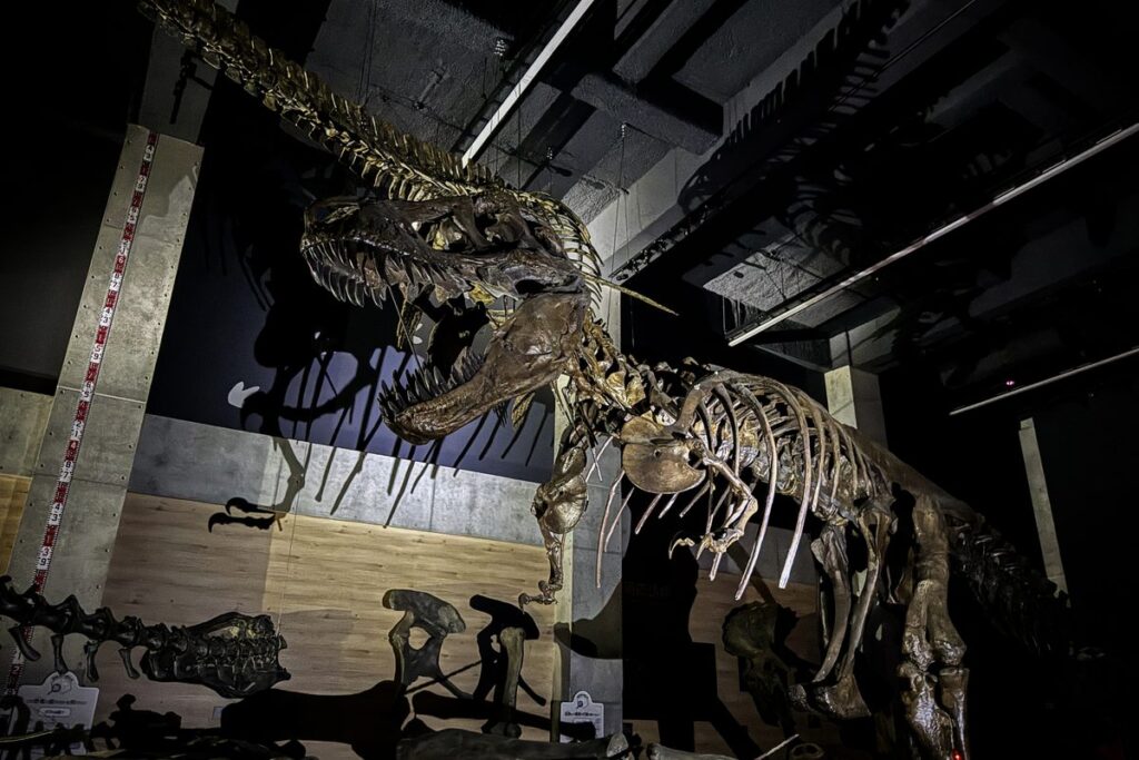 照明を落とした展示室に浮かぶ恐竜の骨格